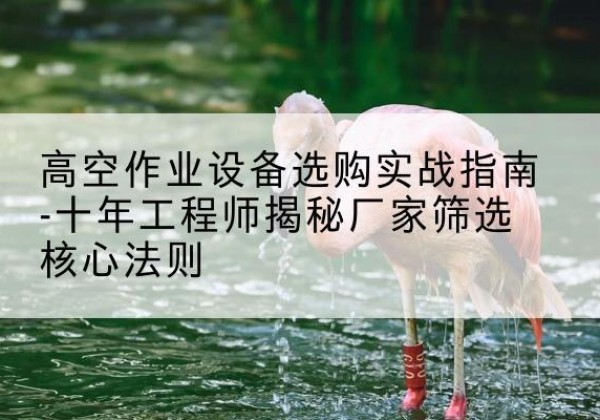 鼓楼剪叉式升降机厂家-高空作业设备选购实战指南-十年工程师揭秘厂家筛选核心法则
